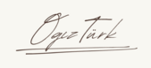 loguzturk.online